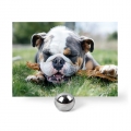 Snapfish - 66% off when you order Any 3 Gifts, Calendars or Cards, 50% Off Storewide &amp; 8C Prints