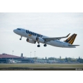Tiger Air - Saturday Flight Fever - Domestic Flights from $19 (Ends 4 P.M, Today)