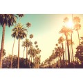 United Airlines - Flights to Los Angeles for $719 return @ I Want That Flight
