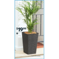 Decorative Planter $19.99; Coir Mat $16.99; Garden Spray Nozzle $9.99; Gardening Gloves $4.99 etc. @ ALDI [Starts Sat 17/4]