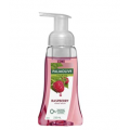 [Prime Members] Palmolive Foaming Hand Wash Soap Raspberry Pump 0% Parabens 0% Phthalates 0% Alcohol Recyclable, 250mL $1.74 Delivered (Was $3.49) @ Amazon