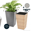 Box Planter $12.99; Garden Pot $14.99; Tall Wick Planter $19.99 &amp; More @ ALDI [Starts Sat 15th Aug]