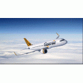 Tiger Air - Tuesday Flight Frenzy - Domestic Seats from $56.95 e.g. Adelaide to Melbourne $56.95