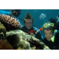 Dolphin Wild Island Cruise/Snorkel - Free Child with every paying adult (worth $80) 