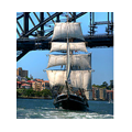 Sydney Harbour Cruises - Save 25% on midweek Sydney Harbour Lunch and Dinner Cruises