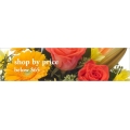 Sale: Flowers Below $65 - Shop Now! @ Interflora