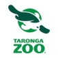 Taronga Zoo promo codes